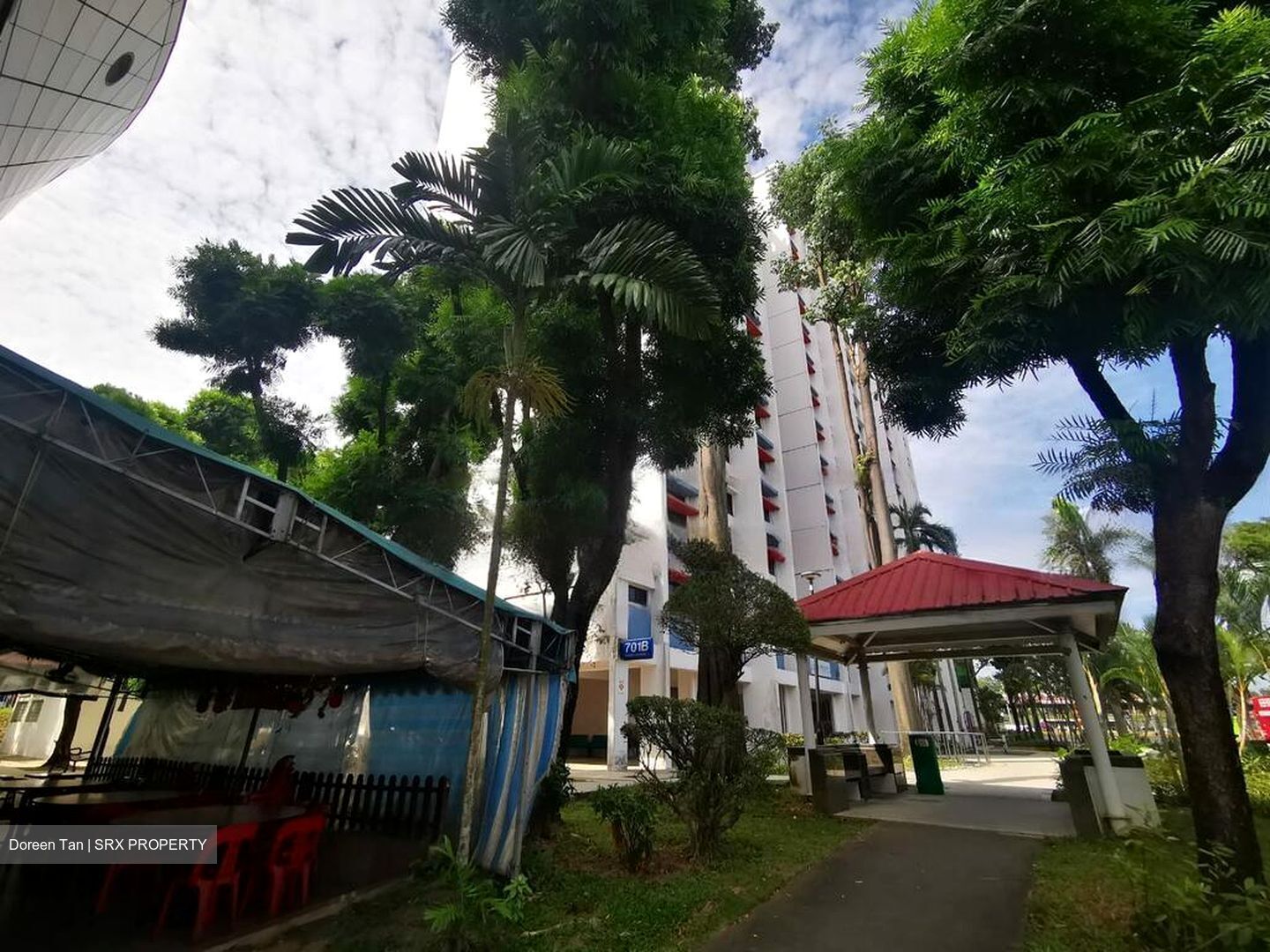 Chong Pang Green (D27), Shop House #454965201